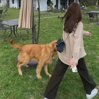 激情伴侣